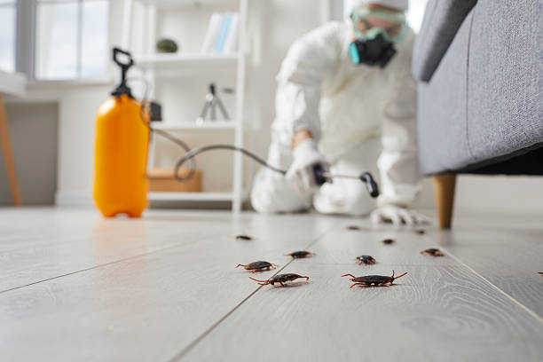 Commercial Rodent Management in Lancaster